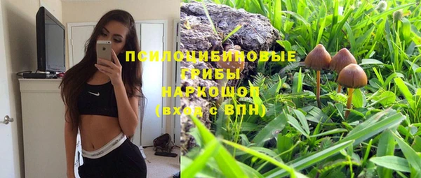 a pvp Володарск