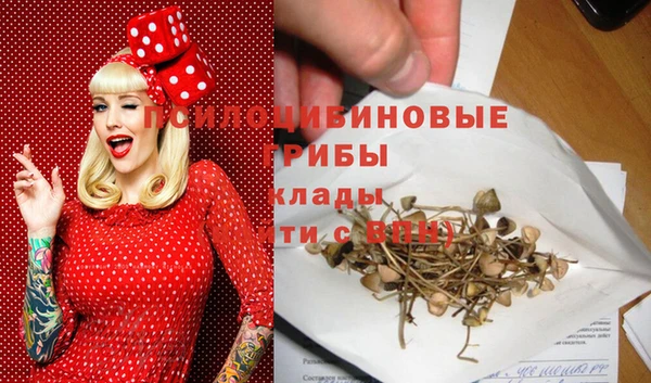 шишки Вяземский