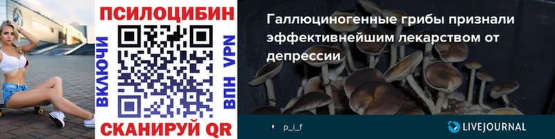 закладки  KRAKEN как войти  Псилоцибиновые грибы Psilocybine cubensis  Камбарка 